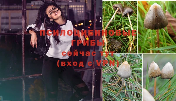 крисы Вяземский