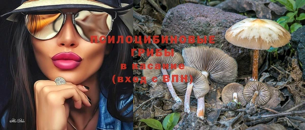 крисы Вяземский