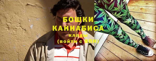 крисы Вяземский