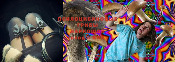 крисы Вяземский