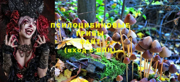 хмурый Верея