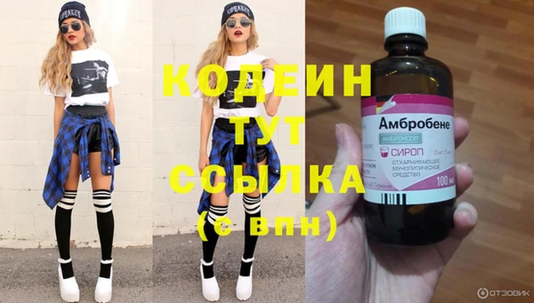 крисы Вяземский