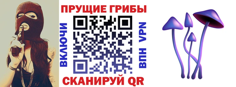 Псилоцибиновые грибы мицелий  Заринск 